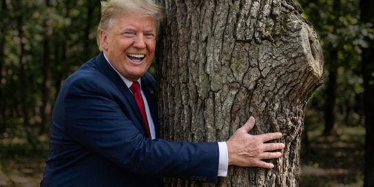 Trump the Climate Champ